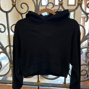 Aritzia Babaton Hoodie